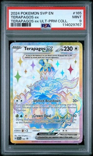 2024 pokemon svp terapagos - pokemon, en